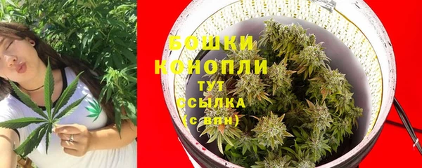 сатива Балабаново