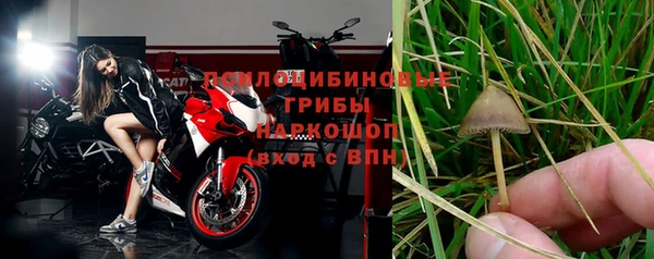 гидропоника Ростов