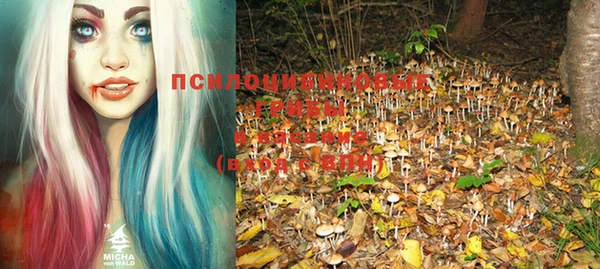 гидропоника Ростов