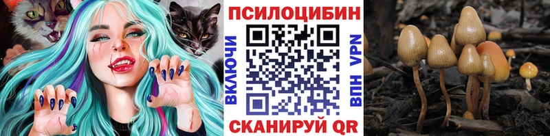 Псилоцибиновые грибы GOLDEN TEACHER  Юрга 